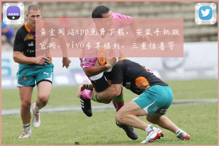 黄金网站app免费下载，安装手机版官网，vivo专享福利，三重惊喜等你来