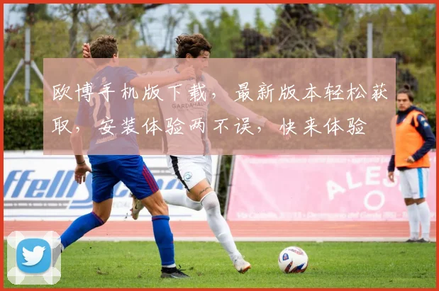 欧博手机版下载，最新版本轻松获取，安装体验两不误，快来体验
