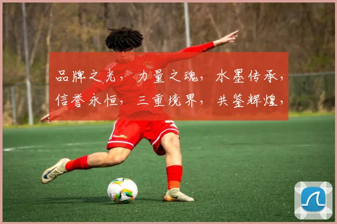 品牌之光，力量之魂，水墨传承，信誉永恒，三重境界，共鉴辉煌，相信品牌，成就未来。