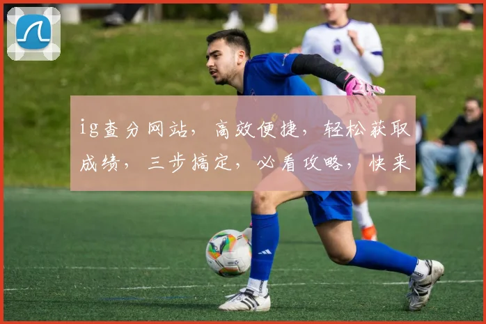 ig查分网站，高效便捷，轻松获取成绩，三步搞定，必看攻略，快来看看吧