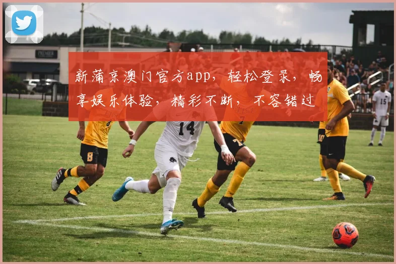 新蒲京澳门官方app，轻松登录，畅享娱乐体验，精彩不断，不容错过