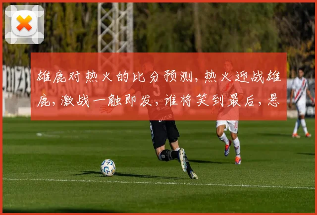雄鹿对热火的比分预测,热火迎战雄鹿,激战一触即发,谁将笑到最后,悬念重重
